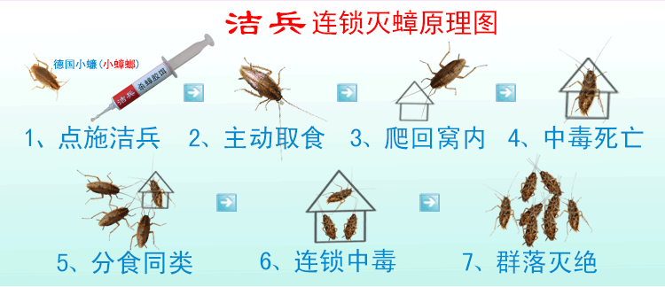 蟑螂药货到付款订购电话:13978804207黄先生