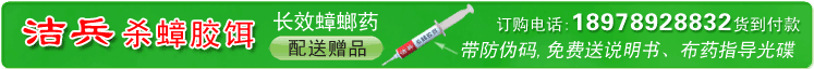 蟑螂药金装虫客杀蟑胶饵诚征代理13978804207黄先生